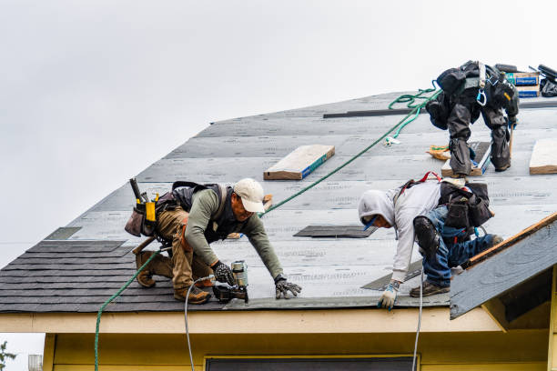 Professional Roof Replacement technician working in Mc Bain, MI